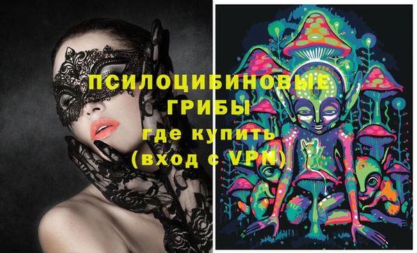 каннабис Новозыбков