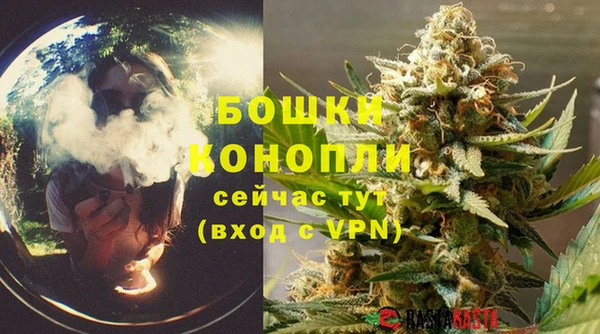 каннабис Новозыбков