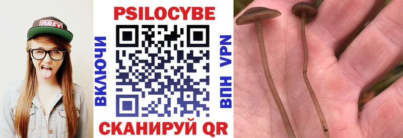 Псилоцибиновые грибы Psilocybe  Сосногорск 